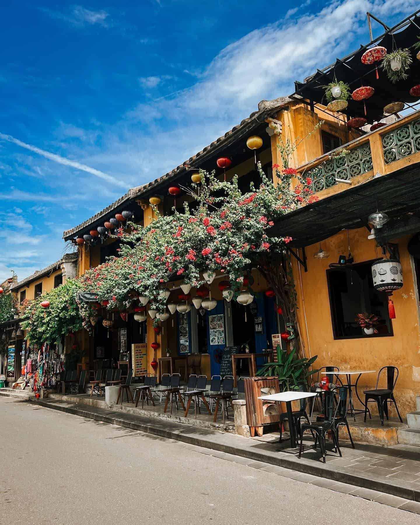 The yellow buildings of Hoi An old town with pink bougainvillea cascading from the facade