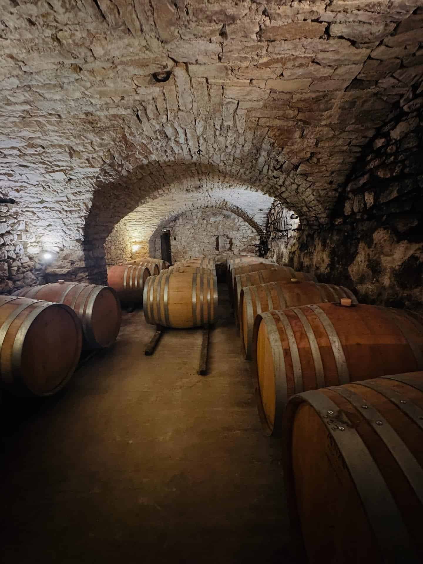 Old World wine cellar with oak barrels in stone arches