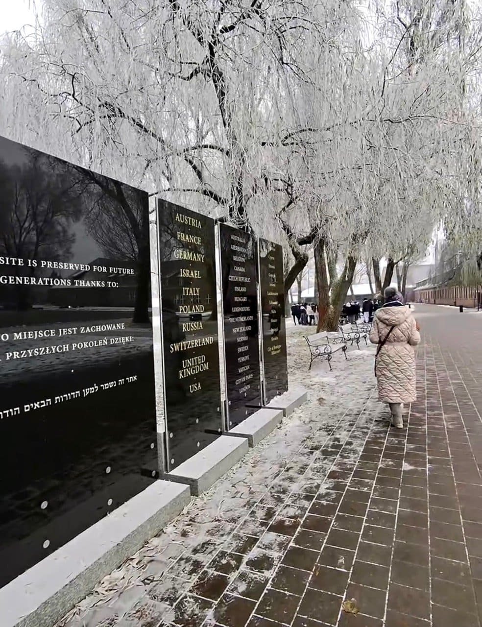 Memorial plaques at Auschwitz listing the countries that helped preserve the site, with a frosted weeping willow above