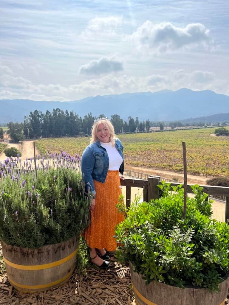 Vineyard in Chile with the Andes mountains in the distance