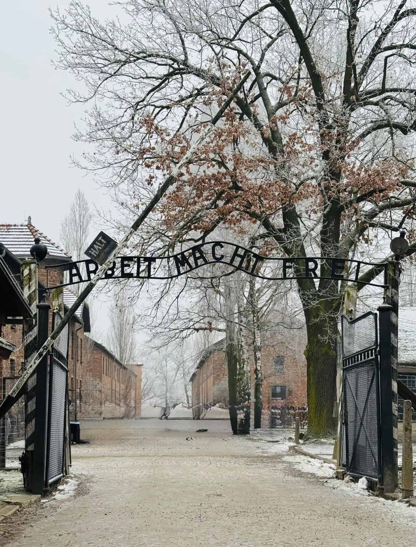 The Arbeit Macht Frei gate at Auschwitz I in winter, with frosted trees framing the entrance