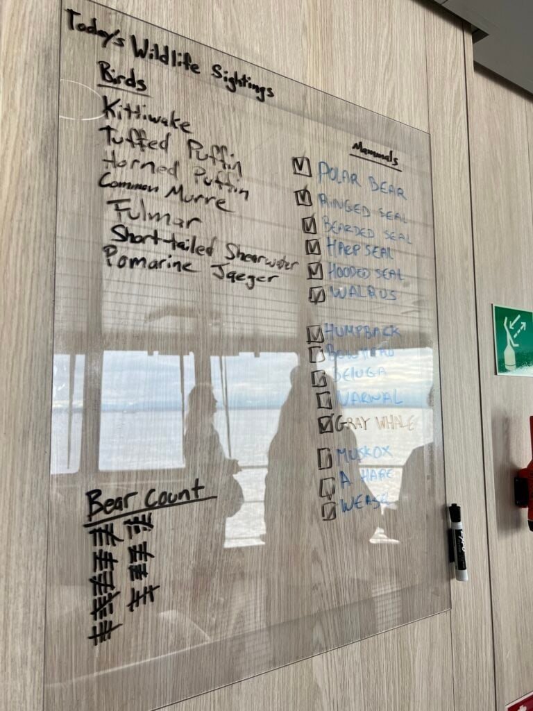 Today's Wildlife Sightings board