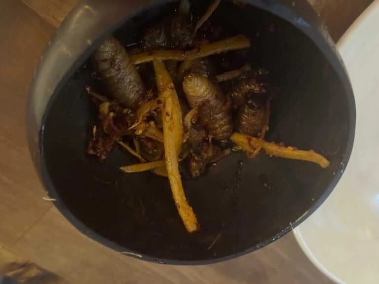 A bowl of cooked sago grubs with strips of ginger, a Borneo delicacy Charity Auger tried in Kuching.